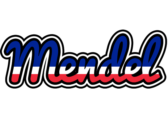 Mendel france logo