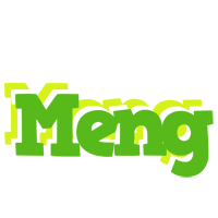 Meng picnic logo