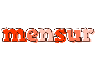 Mensur paint logo