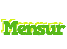 Mensur picnic logo