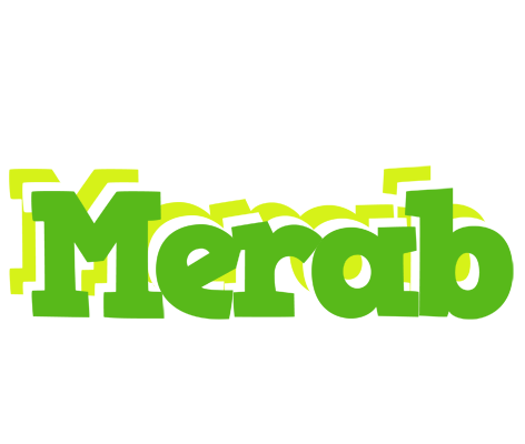 Merab picnic logo