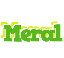 Meral picnic logo