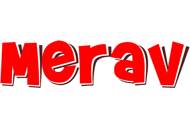 Merav basket logo