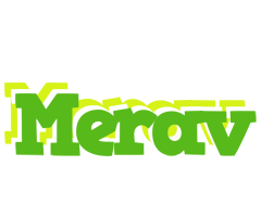 Merav picnic logo