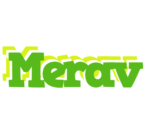 Merav picnic logo