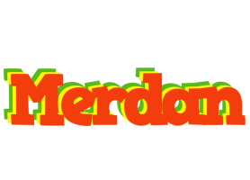 Merdan bbq logo