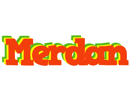 Merdan bbq logo