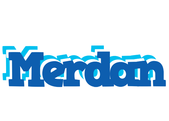 Merdan business logo