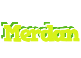 Merdan citrus logo