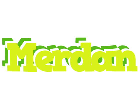 Merdan citrus logo