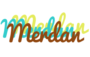 Merdan cupcake logo