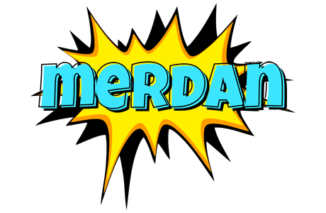 Merdan indycar logo