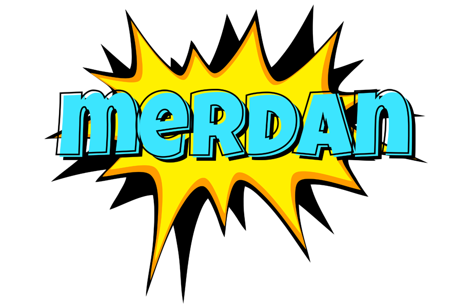 Merdan indycar logo