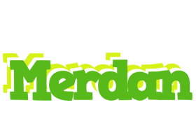 Merdan picnic logo