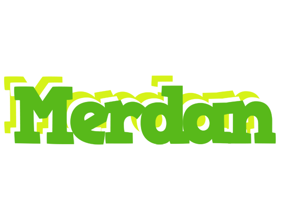 Merdan picnic logo