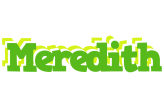 Meredith picnic logo