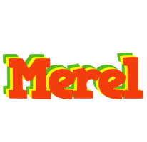 Merel bbq logo