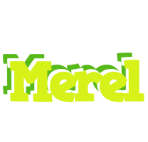 Merel citrus logo