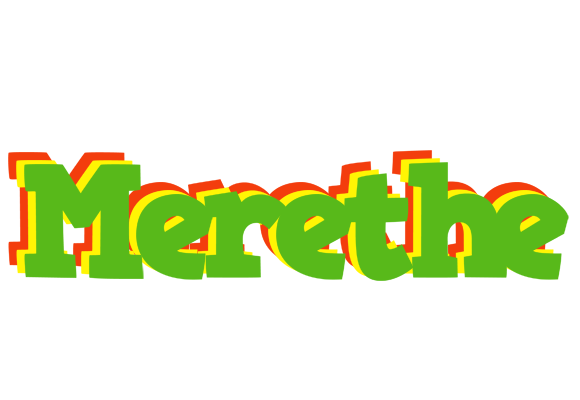 Merethe crocodile logo