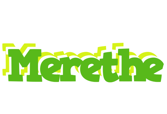 Merethe picnic logo
