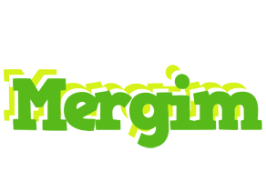 Mergim picnic logo