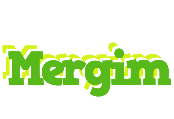 Mergim picnic logo