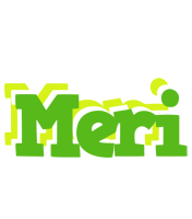 Meri picnic logo