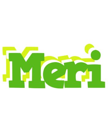 Meri picnic logo