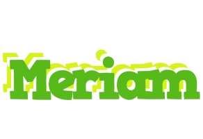 Meriam picnic logo