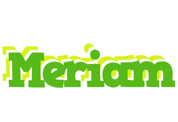 Meriam picnic logo