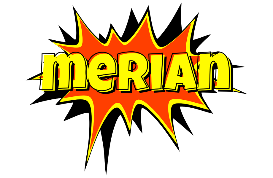 Merian bazinga logo