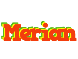 Merian bbq logo