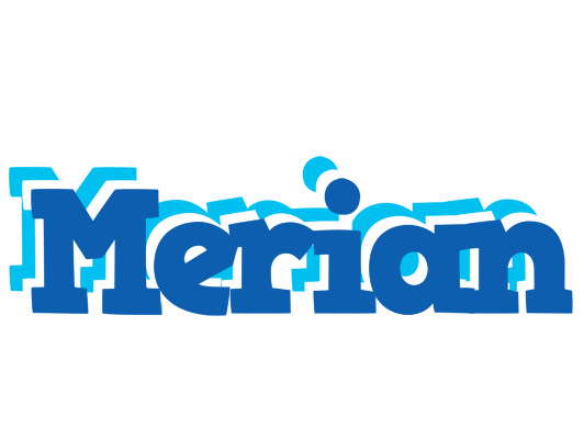 Merian business logo