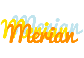 Merian energy logo