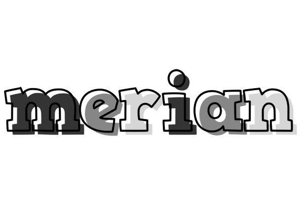 Merian night logo