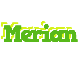 Merian picnic logo