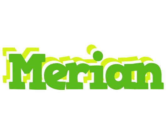 Merian picnic logo