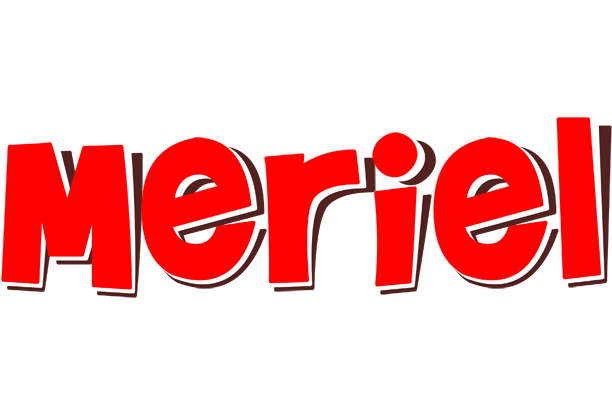 Meriel basket logo