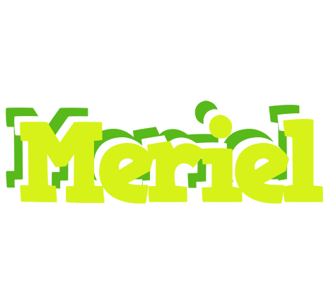 Meriel citrus logo