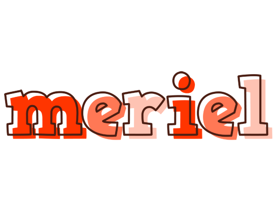Meriel paint logo