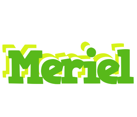 Meriel picnic logo