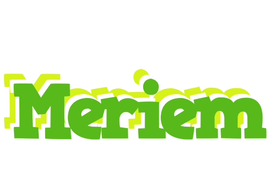 Meriem picnic logo