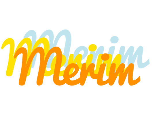 Merim energy logo