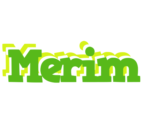 Merim picnic logo