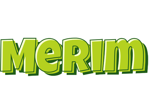 Merim summer logo