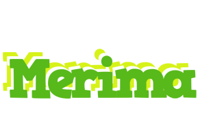 Merima picnic logo