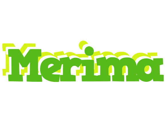 Merima picnic logo