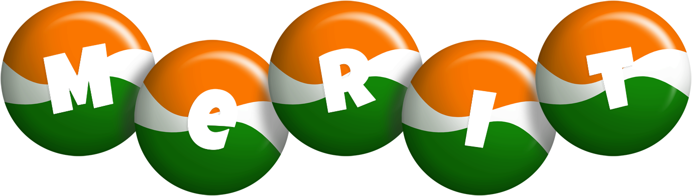 Merit india logo