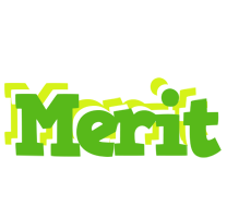 Merit picnic logo