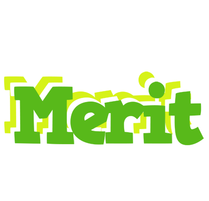 Merit picnic logo